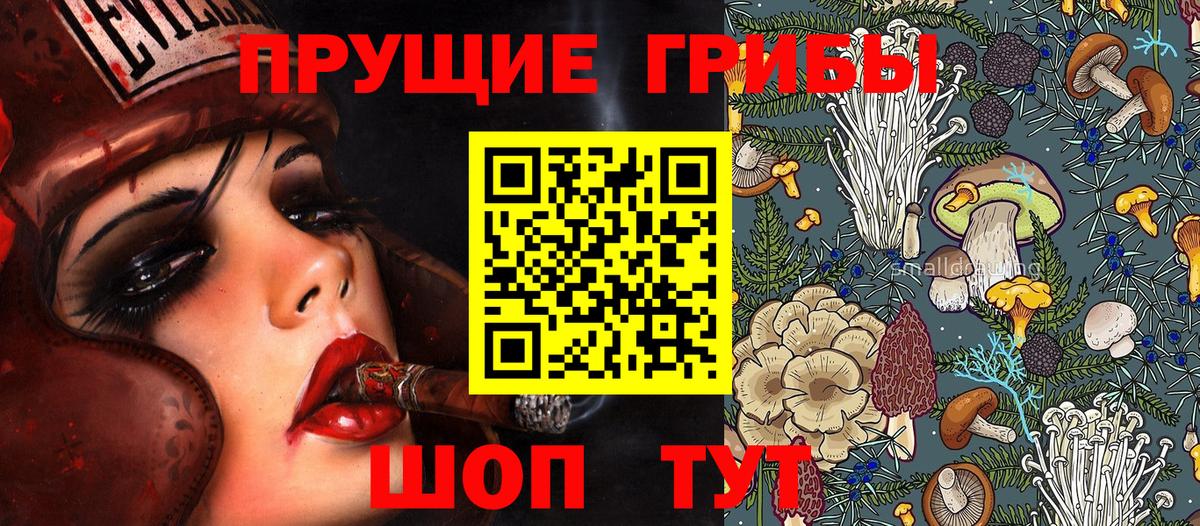 Галлюциногенные грибы прущие грибы  Псилоцибиновые грибы Psilocybine cubensis  Вход с VPN  Северск 
